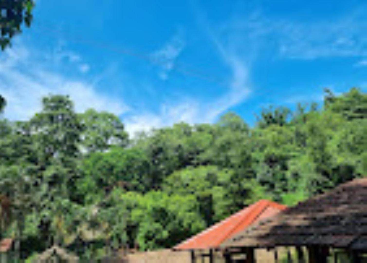 Brahmaputra Jungle Resort Guwahati Dış mekan fotoğraf