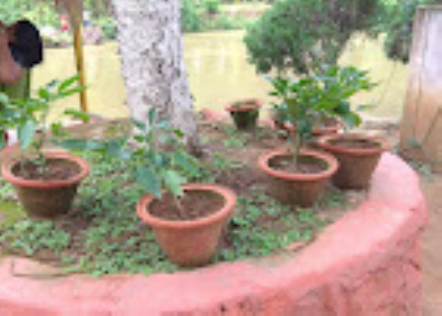 Brahmaputra Jungle Resort Guwahati Dış mekan fotoğraf