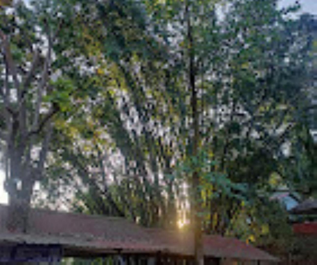 Brahmaputra Jungle Resort Guwahati Dış mekan fotoğraf