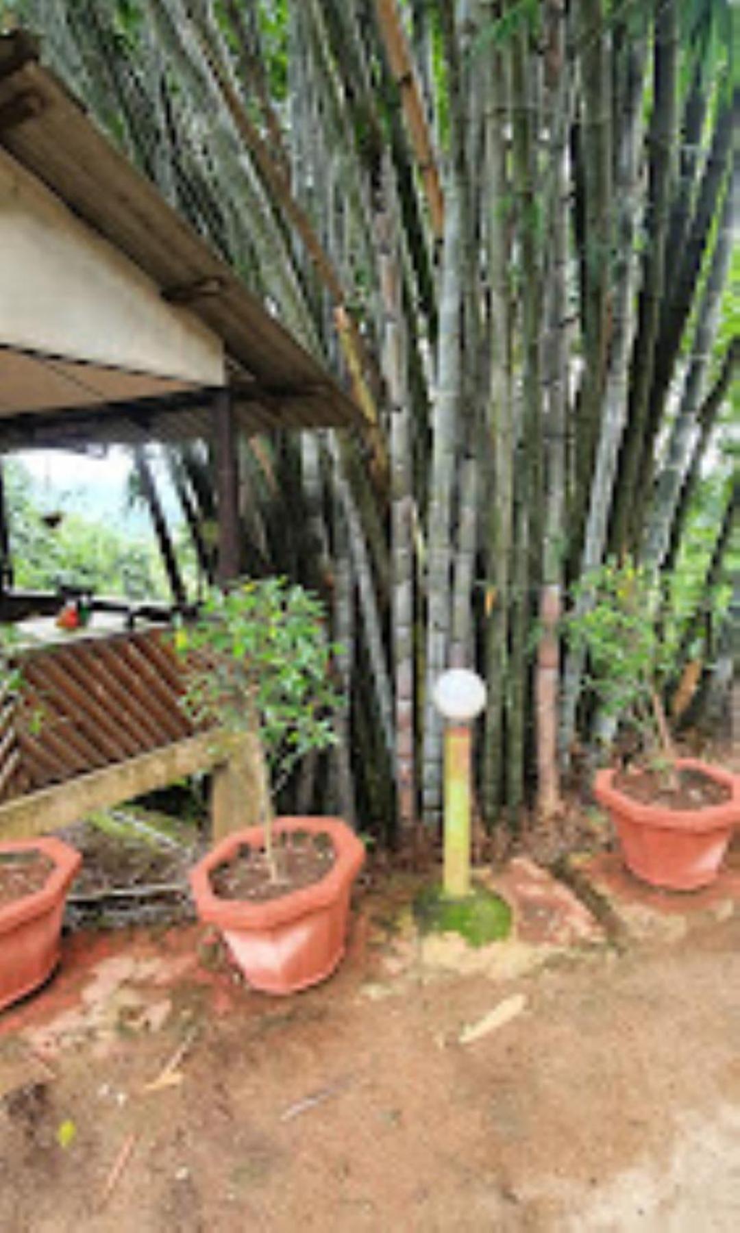 Brahmaputra Jungle Resort Guwahati Dış mekan fotoğraf