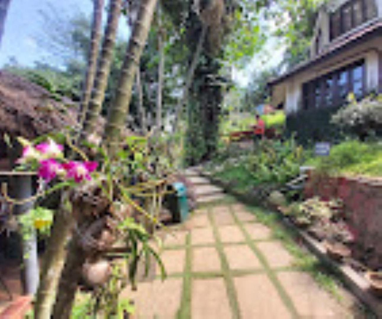 Brahmaputra Jungle Resort Guwahati Dış mekan fotoğraf