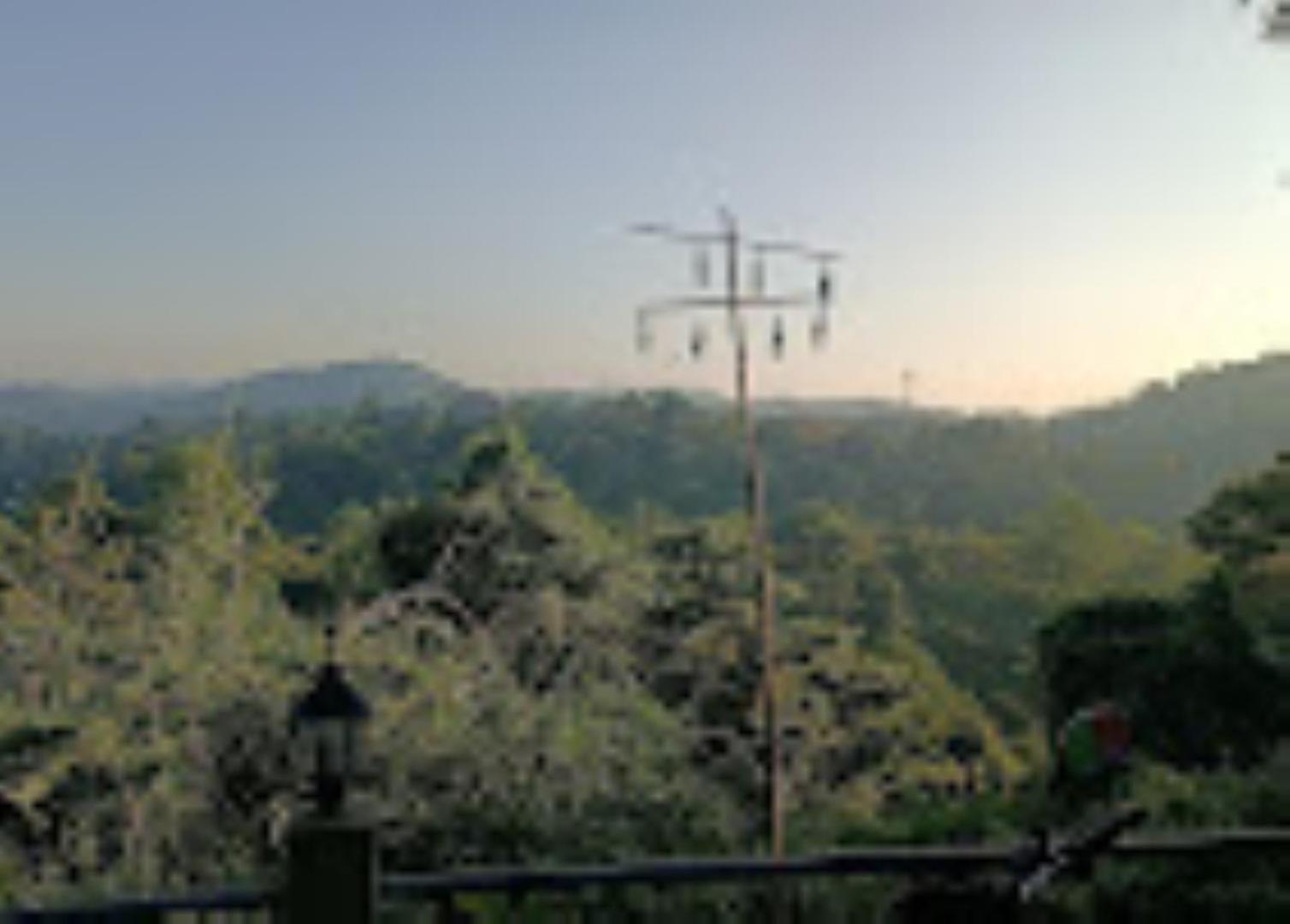 Brahmaputra Jungle Resort Guwahati Dış mekan fotoğraf