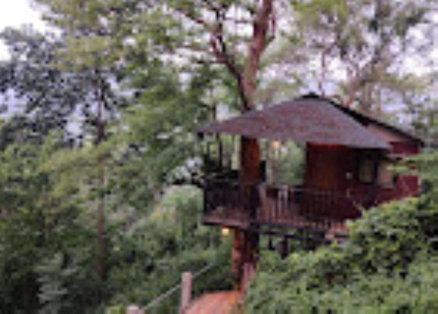 Brahmaputra Jungle Resort Guwahati Dış mekan fotoğraf